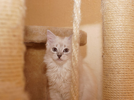 Sally am 16.8.2014